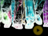 | Ver Proyecto |
