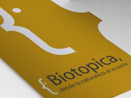 | Ver Proyecto |