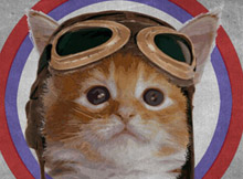 Identidad corporativa - Kits of the cat